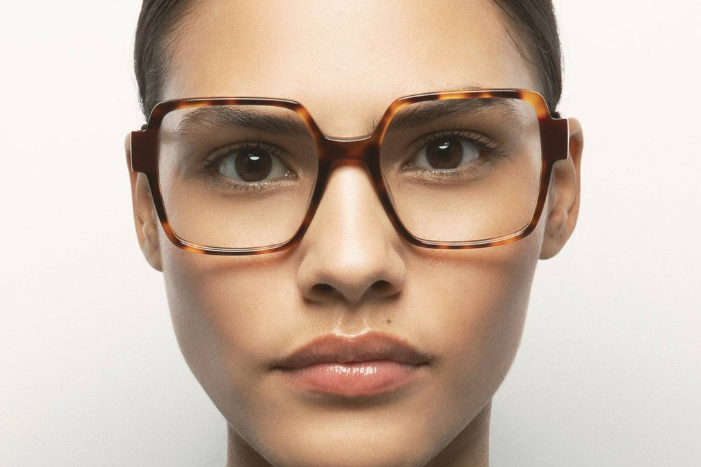 Kaleos Eyehunters - Vogler Eyeglasses Brown Havana/Translucent Brown