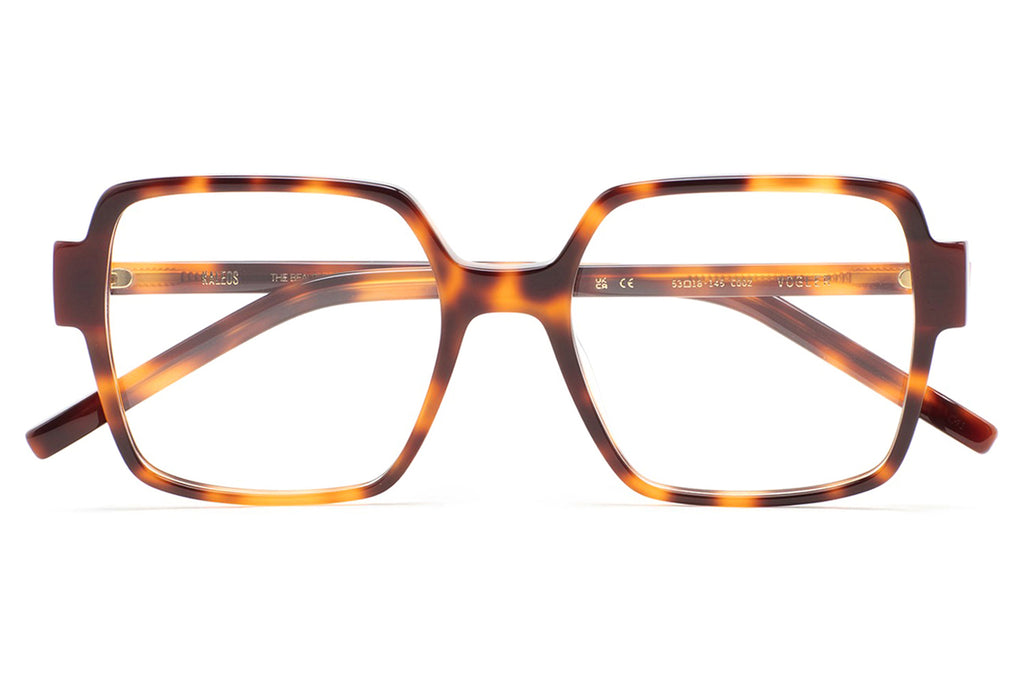 Kaleos Eyehunters - Vogler Eyeglasses Brown Havana/Translucent Brown