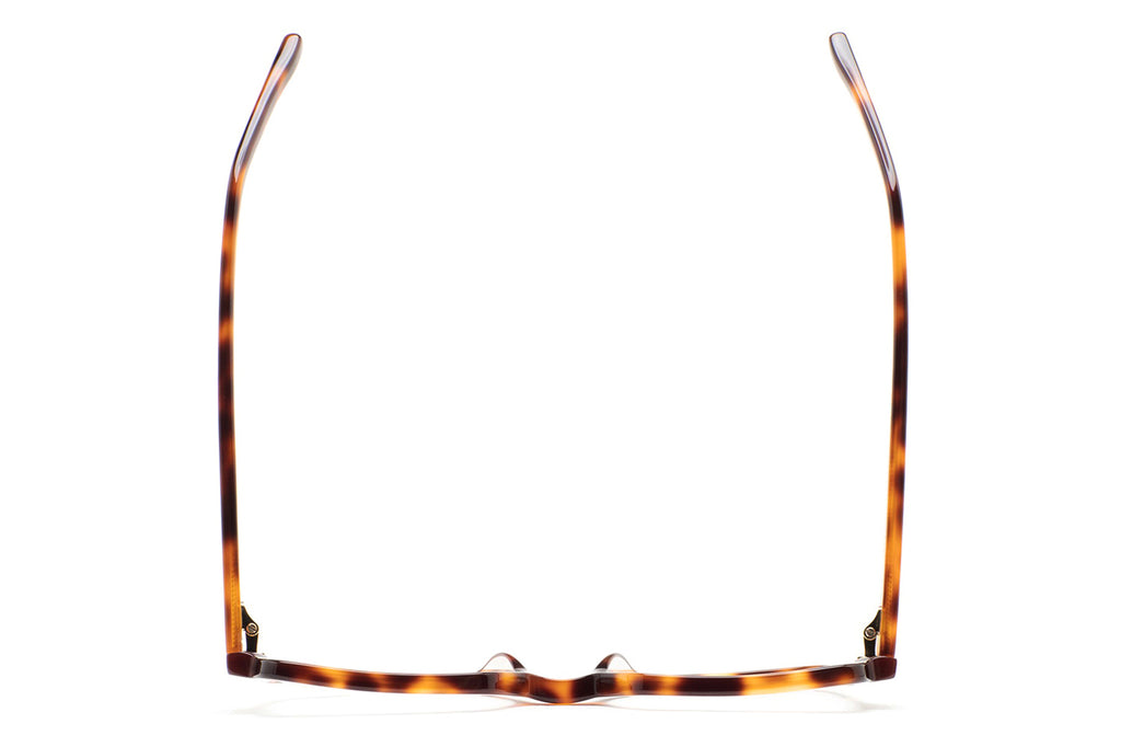 Kaleos Eyehunters - Vogler Eyeglasses Brown Havana/Translucent Brown