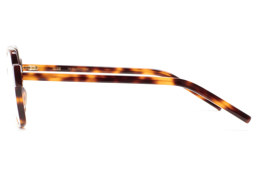 Kaleos Eyehunters - Vogler Eyeglasses Brown Havana/Translucent Brown
