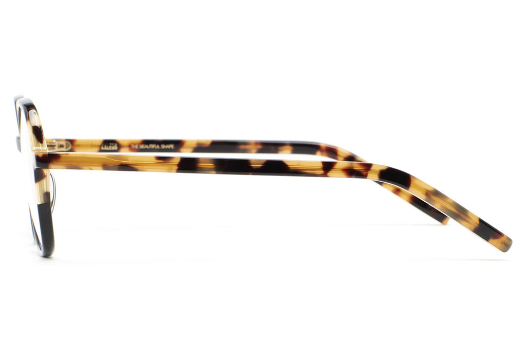 Kaleos Eyehunters - Mills Eyeglasses Black/Brown Havana