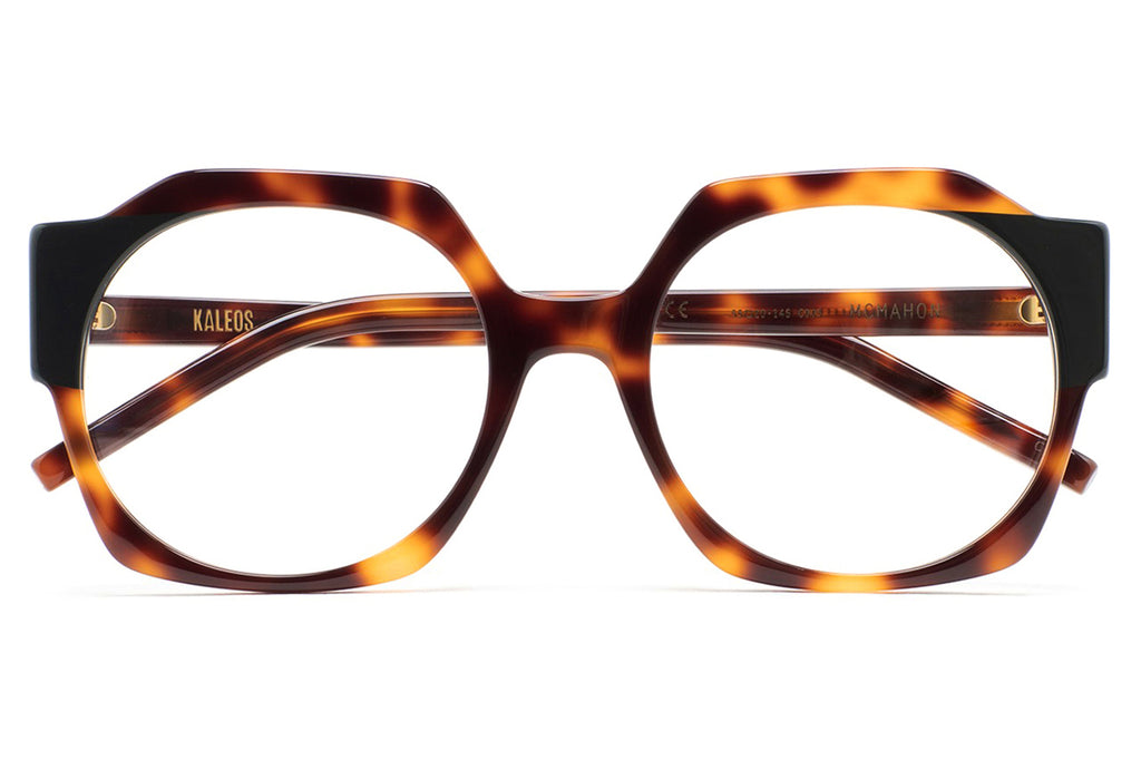 Kaleos Eyehunters - McMahon Eyeglasses Brown Havana/Dark Green