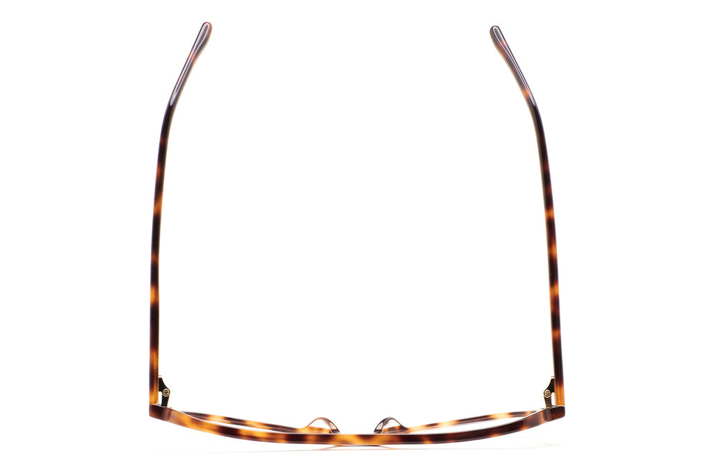 Kaleos Eyehunters - Lomax Eyeglasses Dark Brown Havana