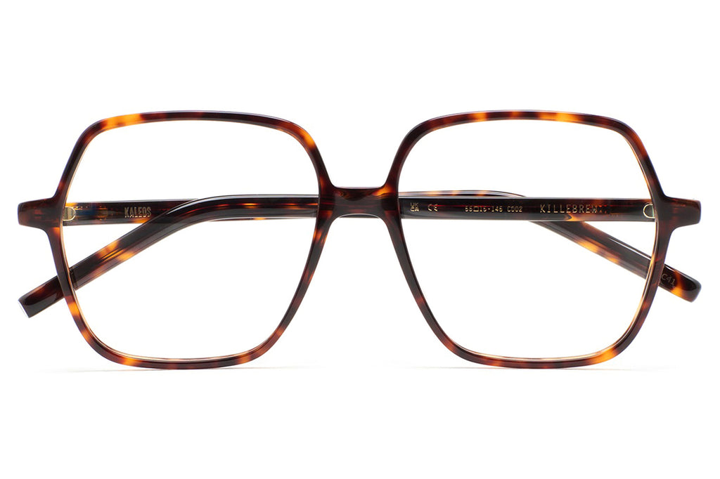 Kaleos Eyehunters - Killebrew Eyeglasses Dark Brown Havana