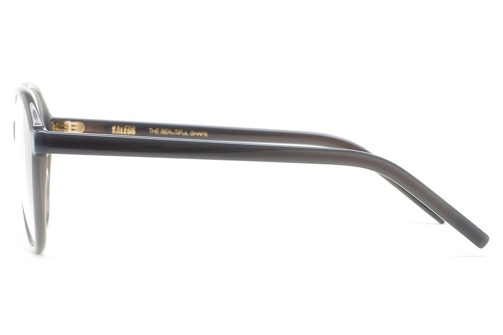 Kaleos Eyehunters - Mansur Eyeglasses Translucent Grey