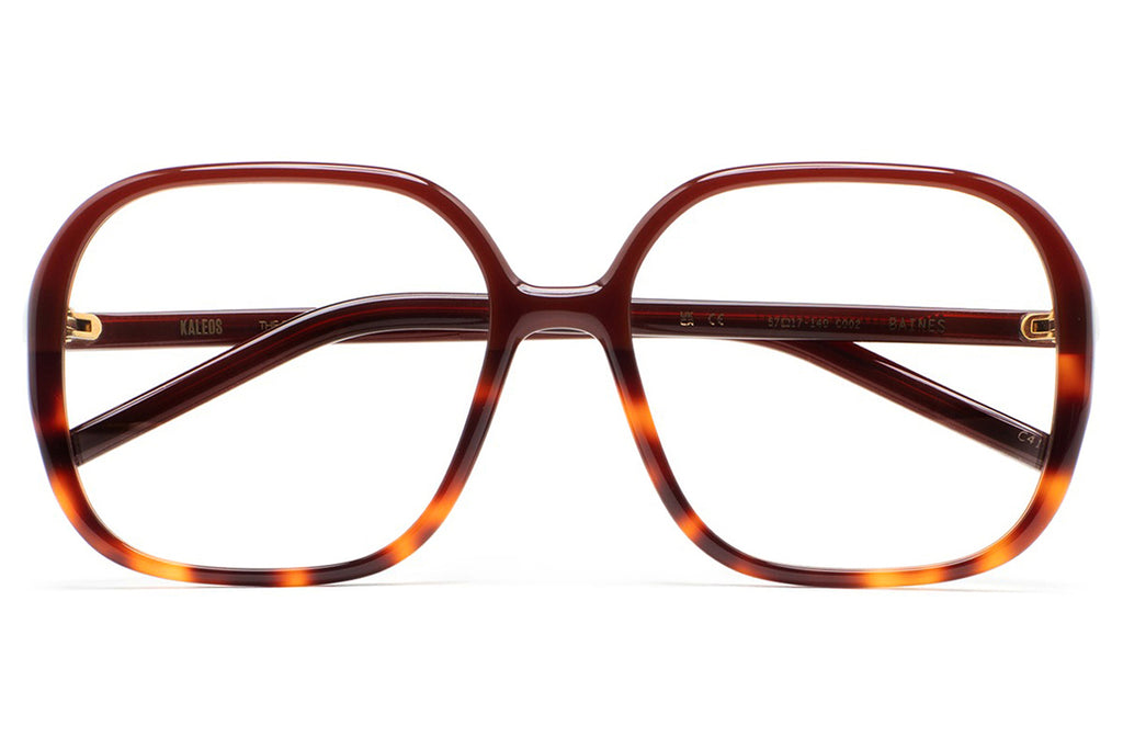 Kaleos Eyehunters - Baines Eyeglasses Translucent Brown/Brown Havana