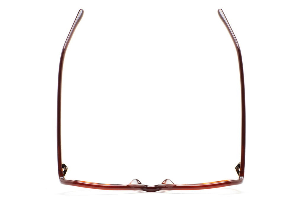 Kaleos Eyehunters - Baines Eyeglasses Translucent Brown/Brown Havana
