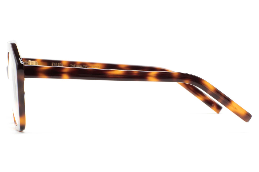 Kaleos Eyehunters - Benzakour Eyeglasses Brown Havana