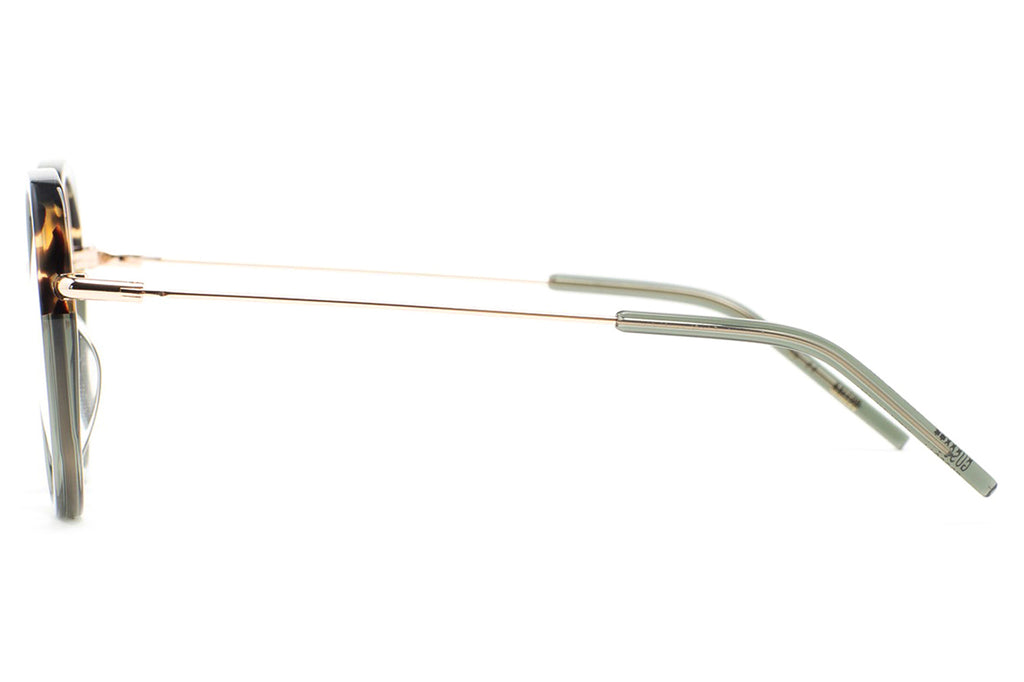 Kaleos Eyehunters - Guscott Eyeglasses Transparent Green/Brown Havana