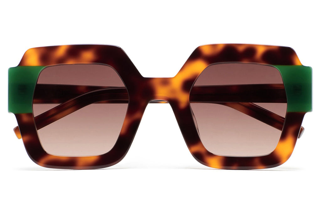 Kaleos Eyehunters - Lupoli Sunglasses Brown Havana/Translucent Green