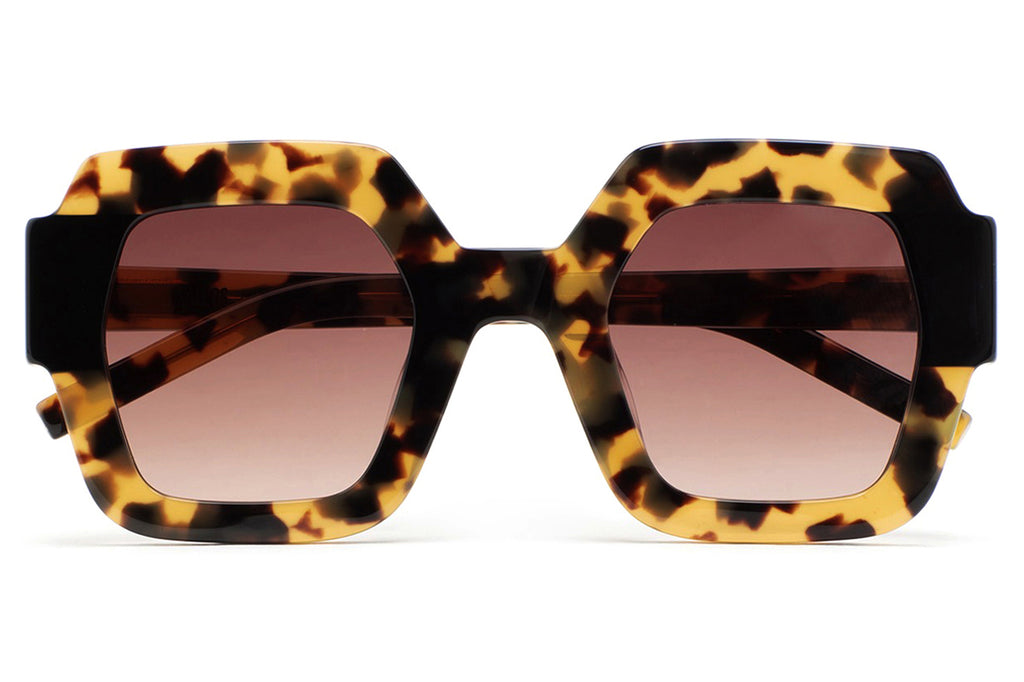 Kaleos Eyehunters - Lupoli Sunglasses Brown Havana/Black