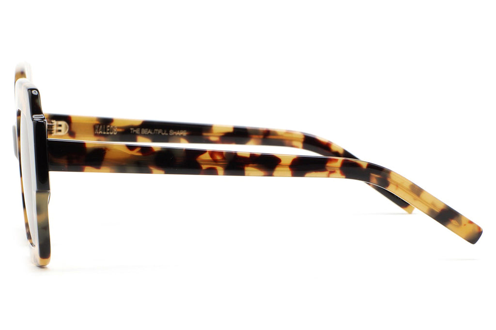 Kaleos Eyehunters - Lupoli Sunglasses Brown Havana/Black