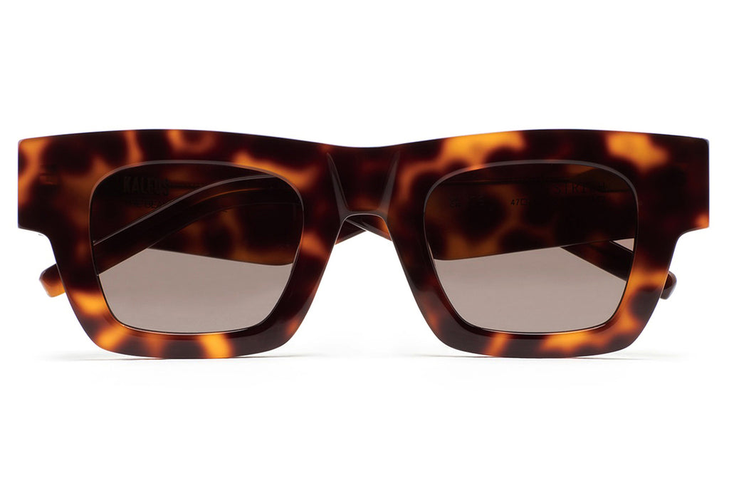 Kaleos Eyehunters - Estrich Sunglasses Brown Havana