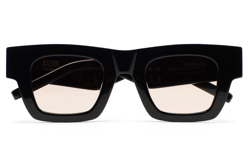 Black with Brown Photochromic Lenses