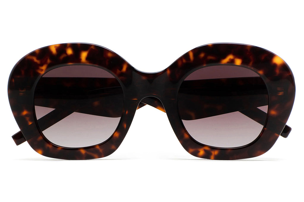 Kaleos Eyehunters - Davies Sunglasses Dark Brown Havana