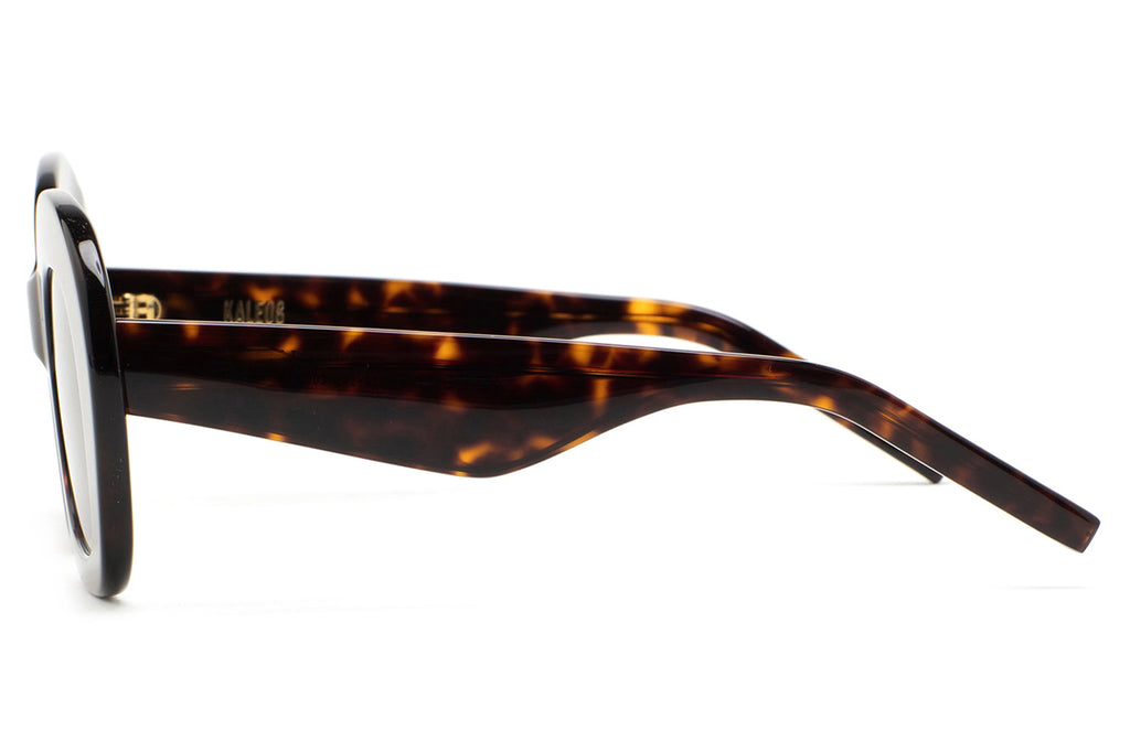 Kaleos Eyehunters - Davies Sunglasses Dark Brown Havana