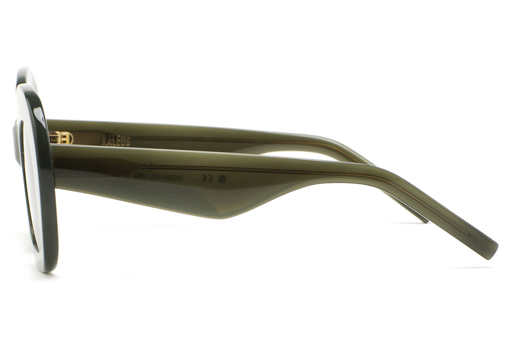 Kaleos Eyehunters - Davies Sunglasses Translucent Green