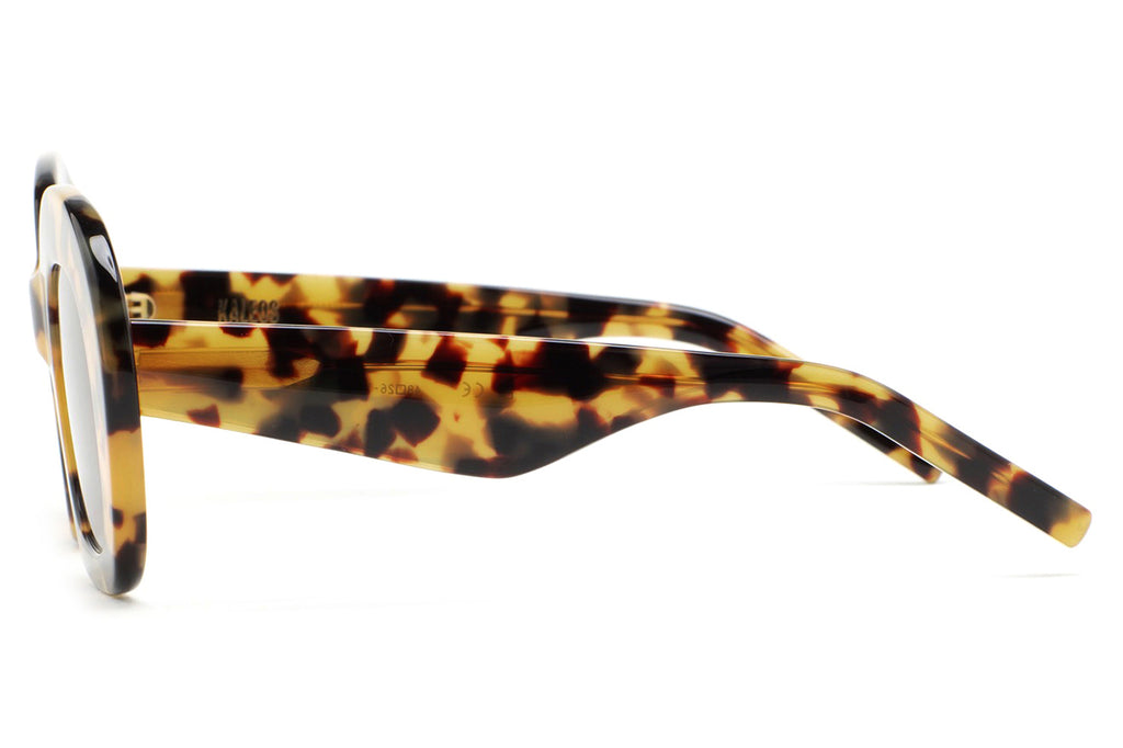 Kaleos Eyehunters - Davies Sunglasses Brown Havana