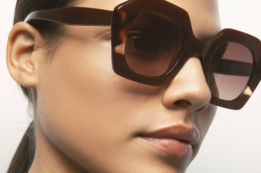 Kaleos Eyehunters - Pavicic Sunglasses Translucent Brown/Dark Brown Havana