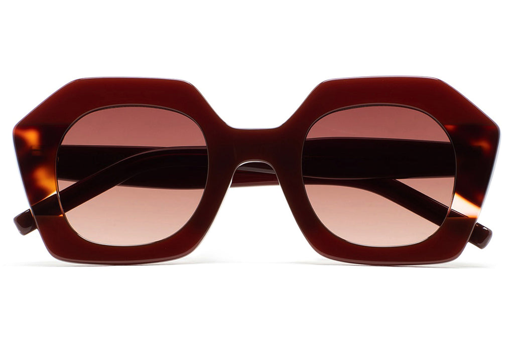 Kaleos Eyehunters - Pavicic Sunglasses Translucent Brown/Dark Brown Havana