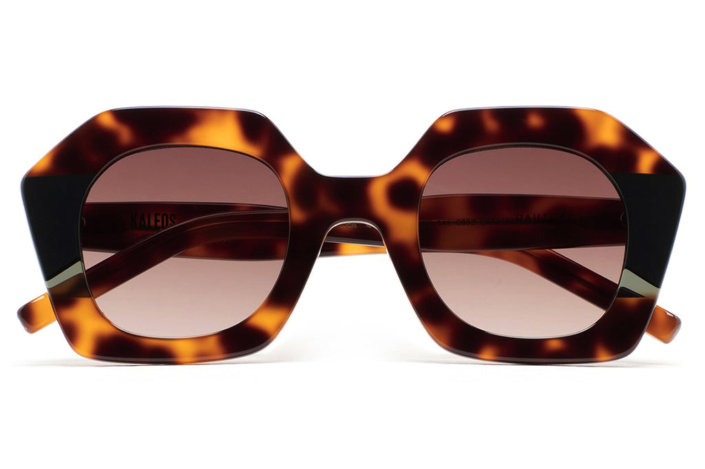 Kaleos Eyehunters - Pavicic Sunglasses Brown Havana/Dark Green