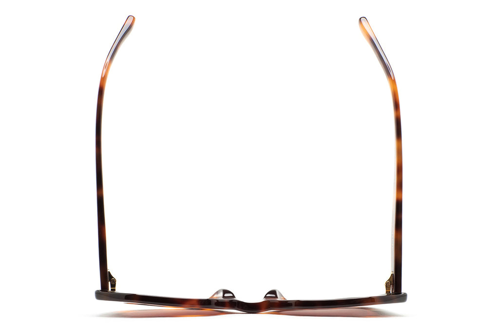 Kaleos Eyehunters - Pavicic Sunglasses Brown Havana/Dark Green