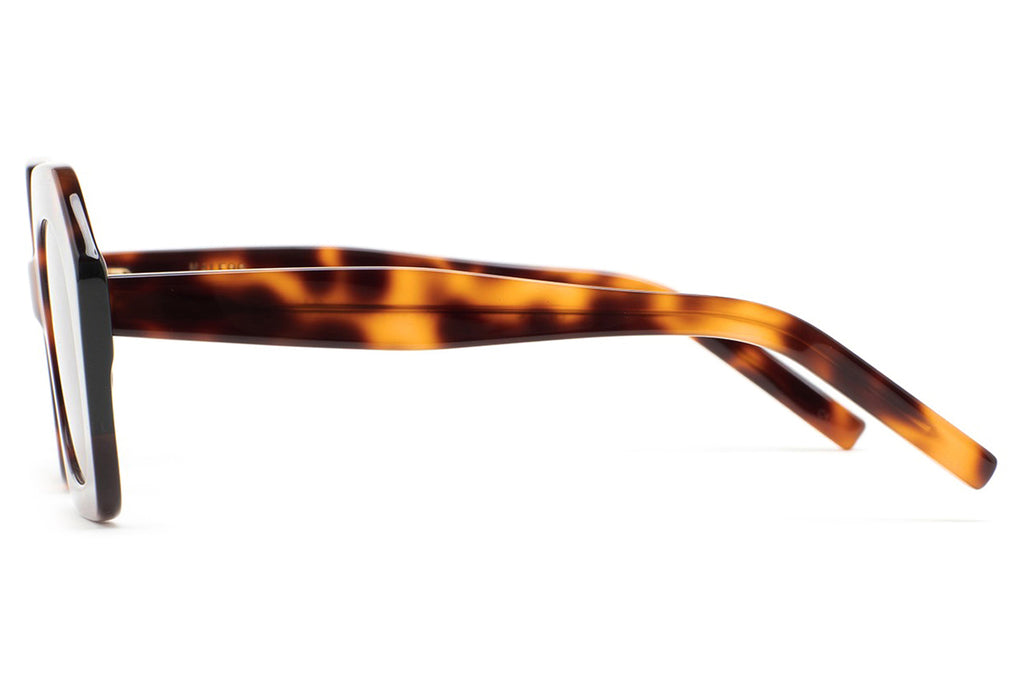 Kaleos Eyehunters - Pavicic Sunglasses Brown Havana/Dark Green