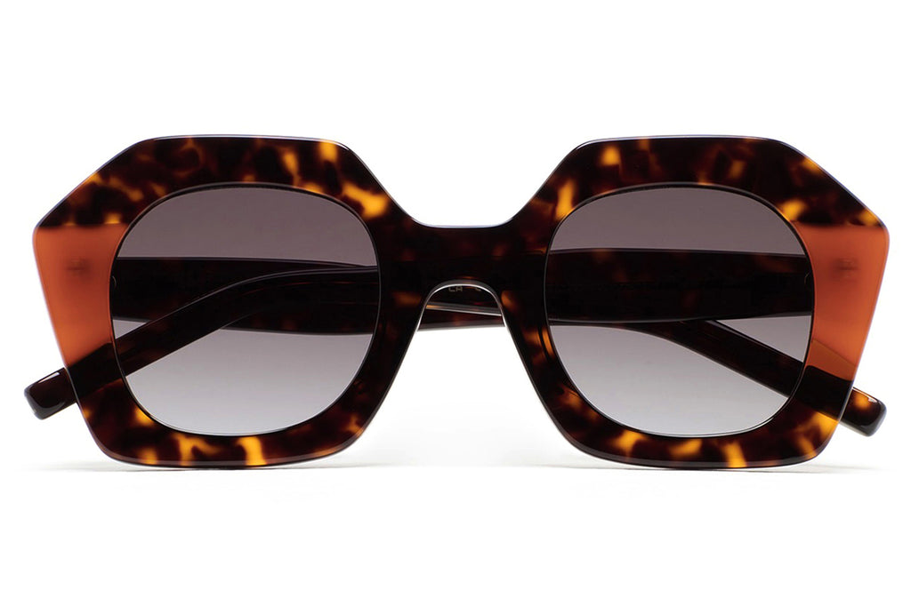 Kaleos Eyehunters - Pavicic Sunglasses Dark Brown Havana/Translucent Orange