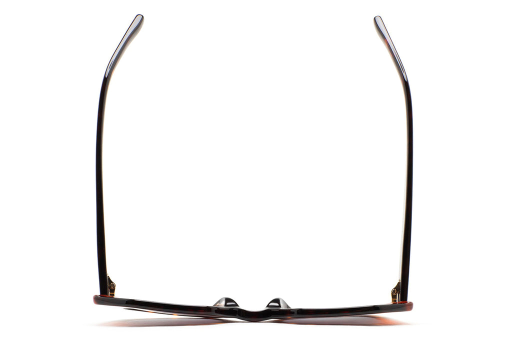 Kaleos Eyehunters - Pavicic Sunglasses Dark Brown Havana/Translucent Orange