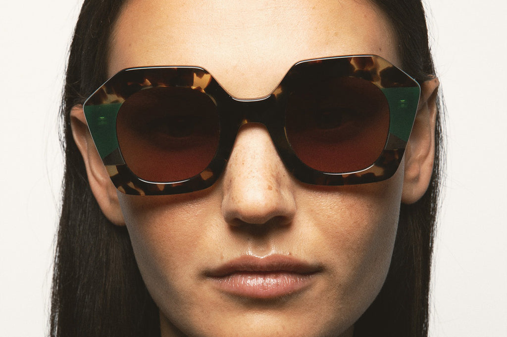 Kaleos Eyehunters - Pavicic Sunglasses Brown Havana/Translucent Green