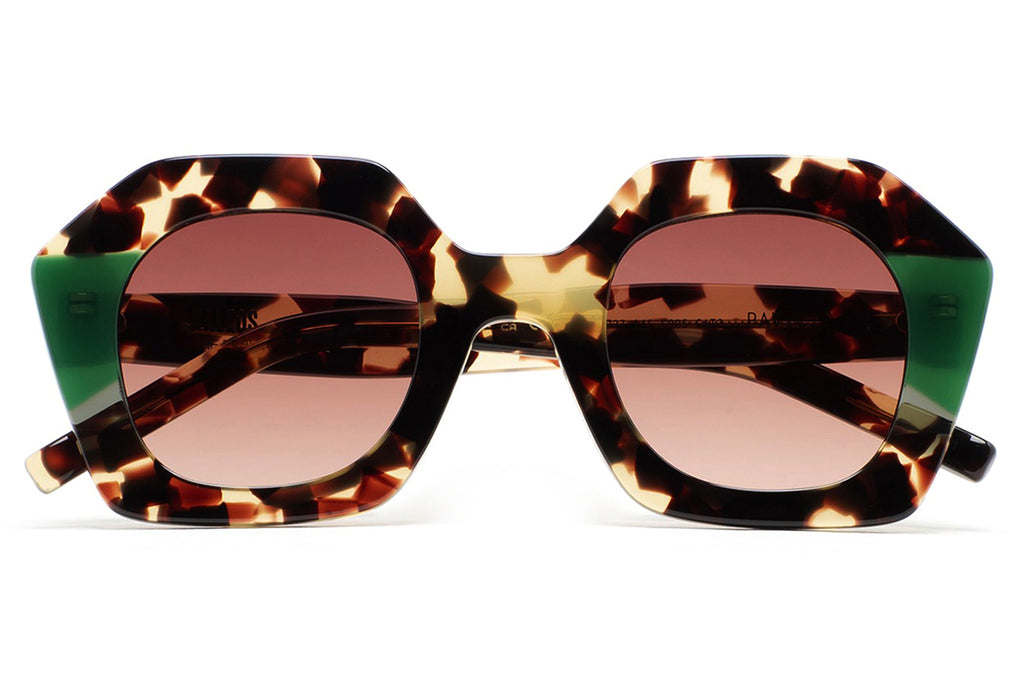 Kaleos Eyehunters - Pavicic Sunglasses Brown Havana/Translucent Green