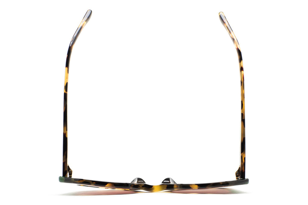 Kaleos Eyehunters - Pavicic Sunglasses Brown Havana/Translucent Green