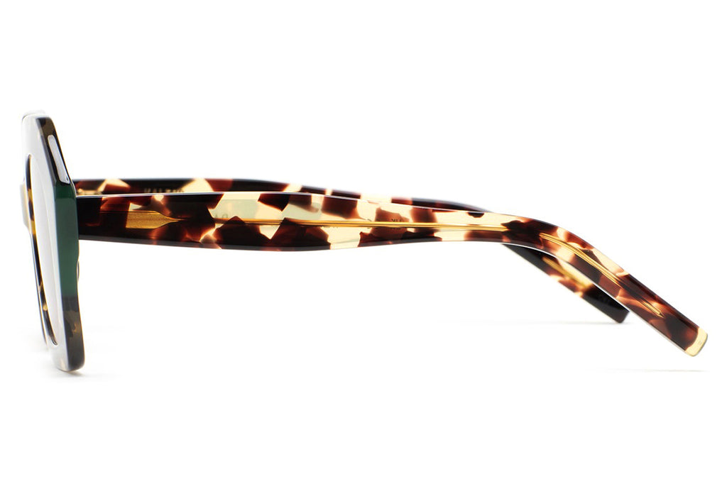 Kaleos Eyehunters - Pavicic Sunglasses Brown Havana/Translucent Green