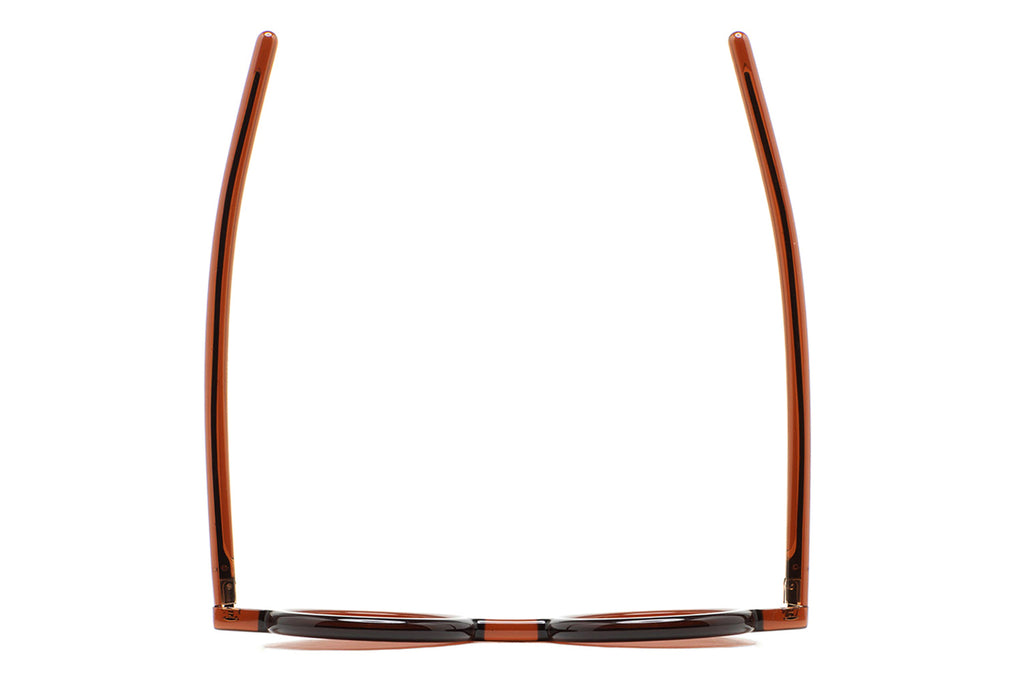 Kaleos Eyehunters - Arquitectura-G x Kaleos Acetate Sunglasses Transparent Dark Brown