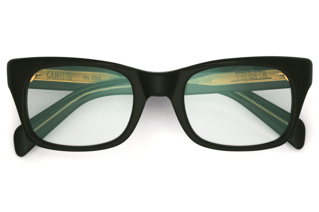 Tejesta® Eyewear - Curtis Eyeglasses BRG