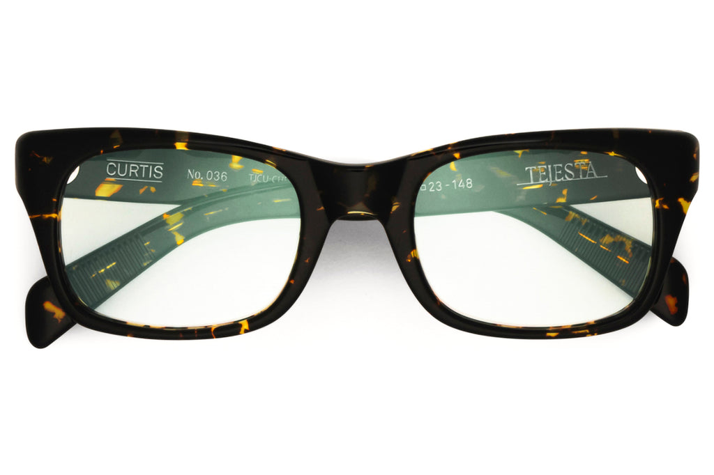 Tejesta® Eyewear - Curtis Eyeglasses Chelonian