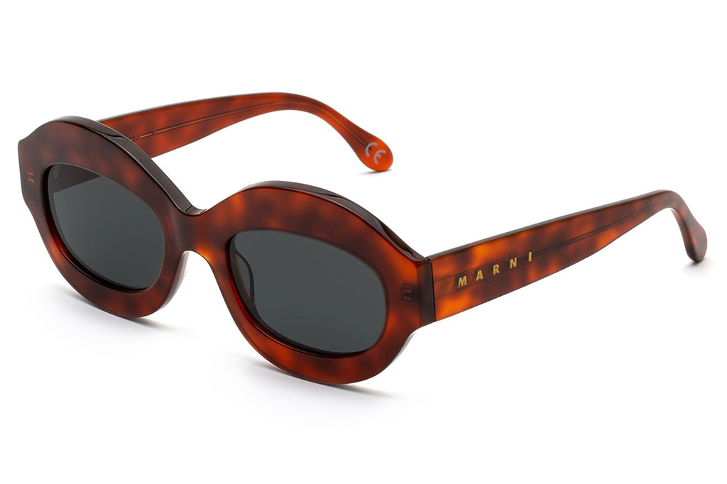 Marni® - Ik Kil Cenote Sunglasses Havana Diversa
