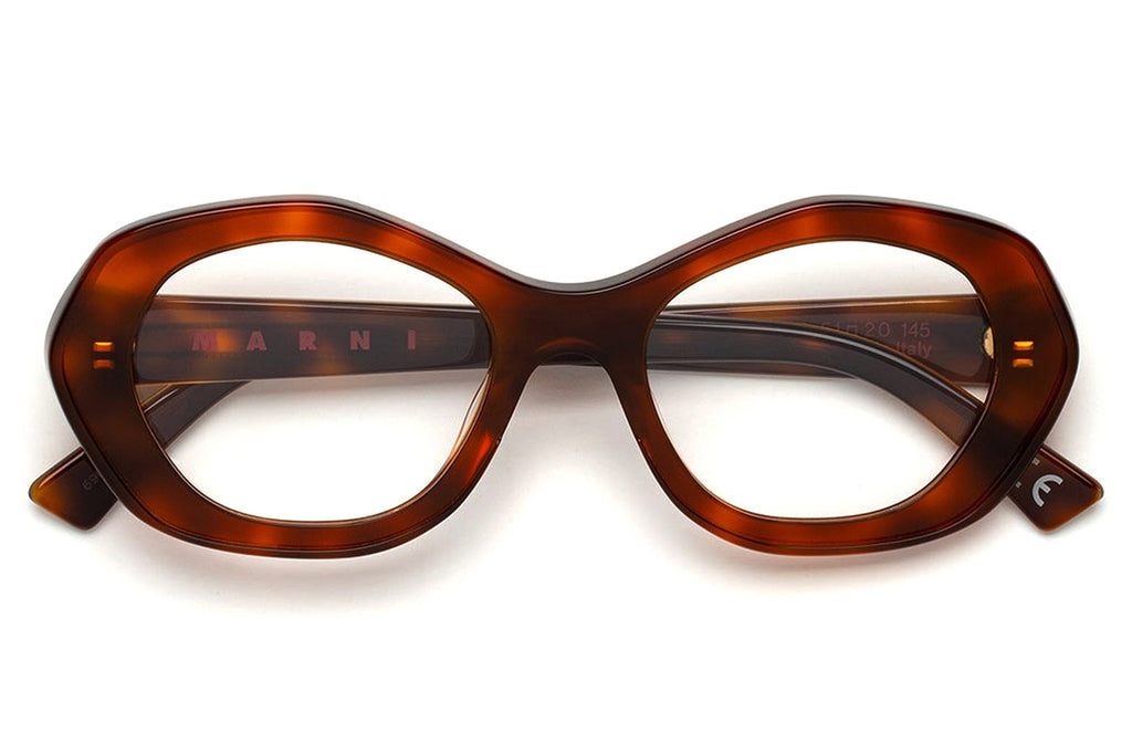 Marni® - Ulawun Vulcano Eyeglasses Havana