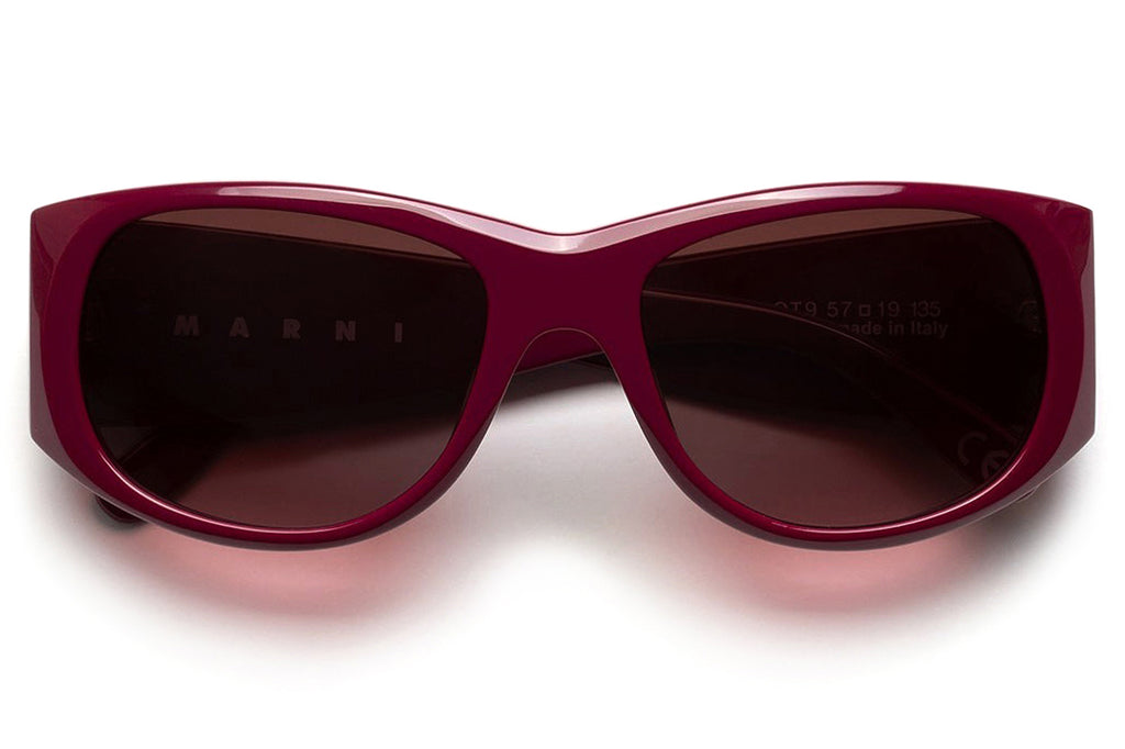 Marni® - Orinoco River Sunglasses Bordeaux