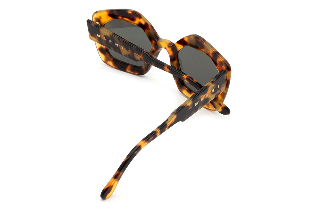 Marni® - Laughing Waters Sunglasses Vibrant Havana