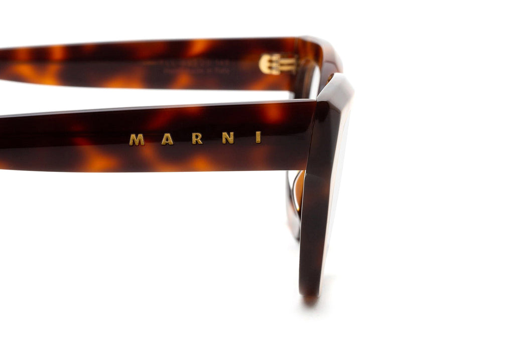 Marni® - Hallerbos Forest Eyeglasses Havana