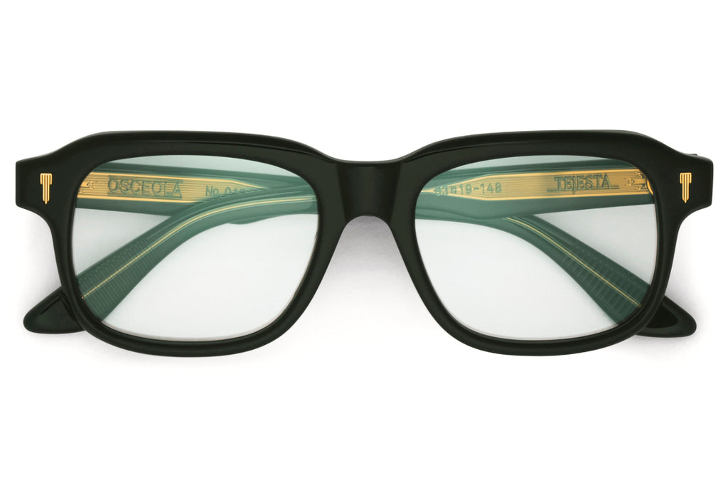 Tejesta® Eyewear - Osceola Eyeglasses BRG