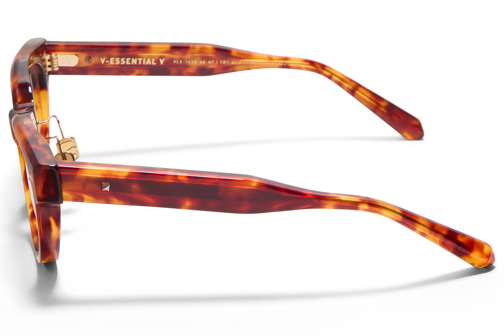 Valentino® Eyewear - V-Essential V Eyeglasses Honey Tortoise with V-Light Gold