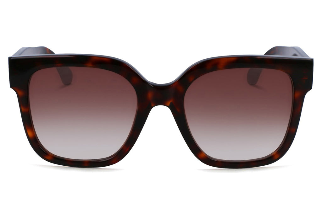 Paul Smith - Delta Sunglasses Dark Turtle