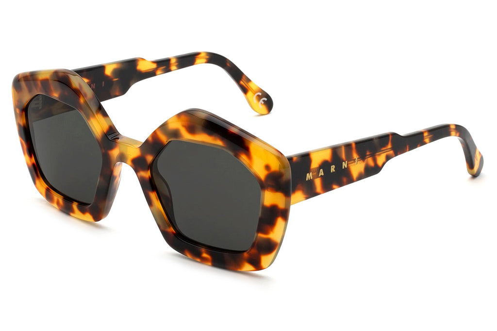 Marni® - Laughing Waters Sunglasses Vibrant Havana