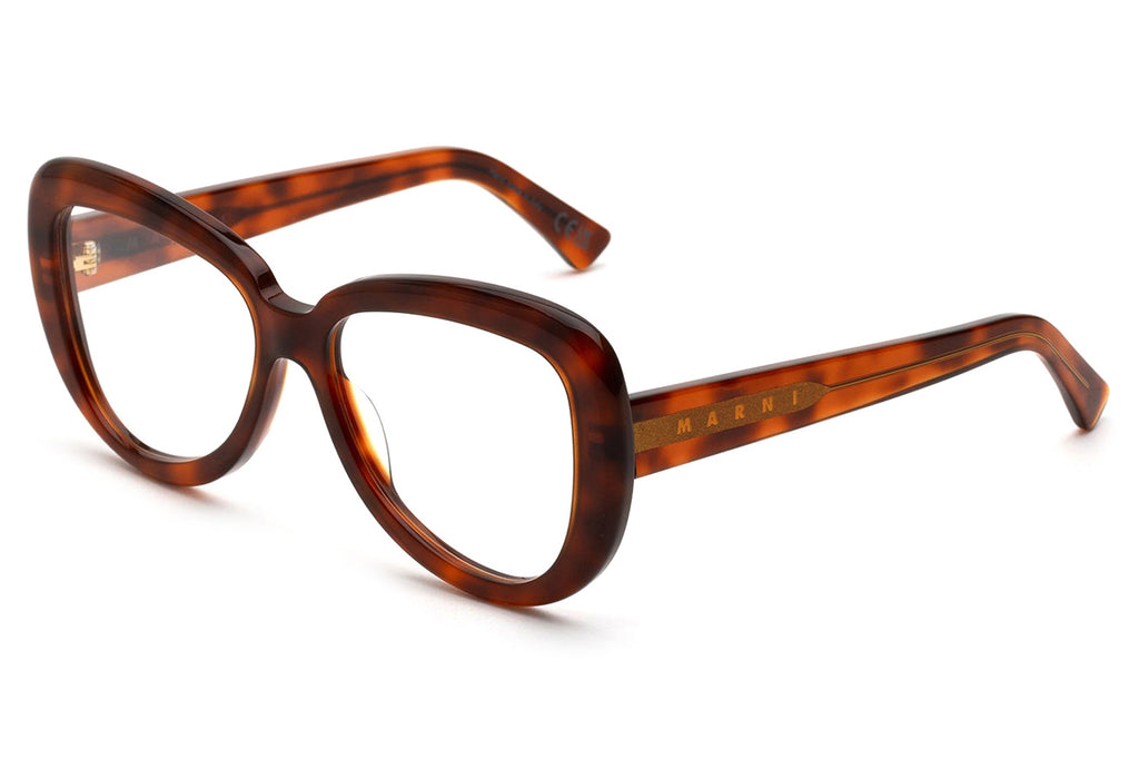 Marni® - Elephant Island Eyeglasses Blonde Havana