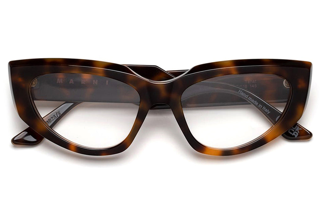 Marni® - Tahat Eyeglasses Havana