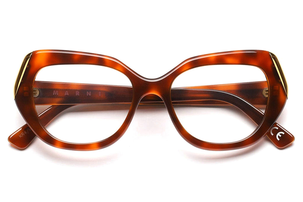 Marni® - Antelope Canyon Eyeglasses Blonde Havana