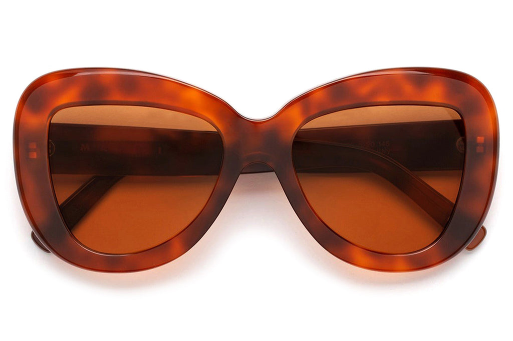 Marni® - Elephant Island Sunglasses Havana