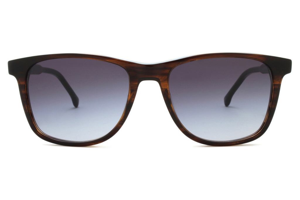Paul Smith - Gibson Sunglasses Havana